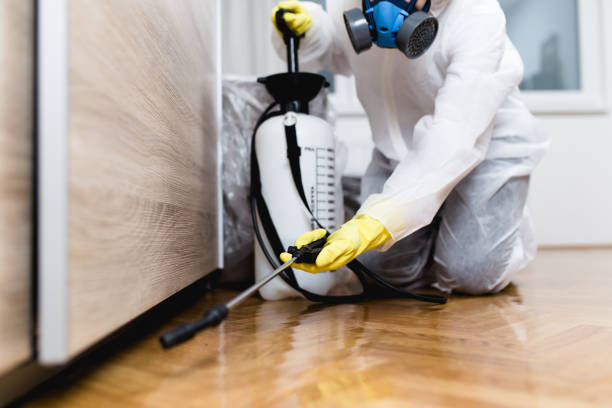 Pest Prevention Services in Boring, OR