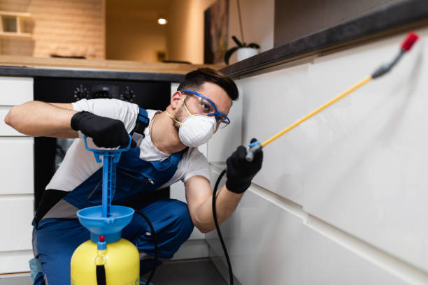 Best Pest Control Near Me in Boring, OR