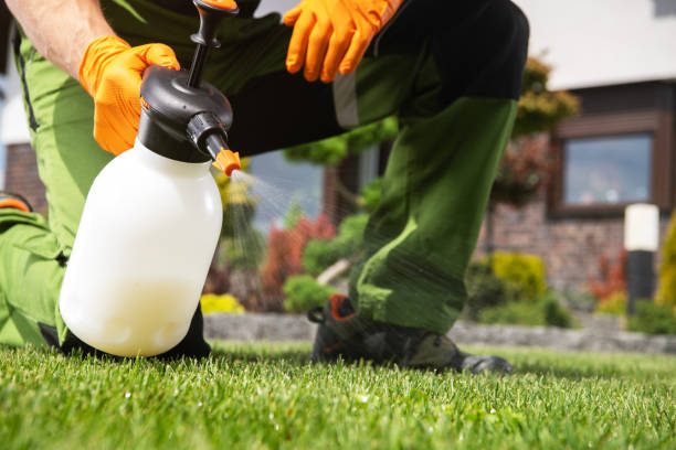 Best Affordable Pest Control Services  in Bing, OR