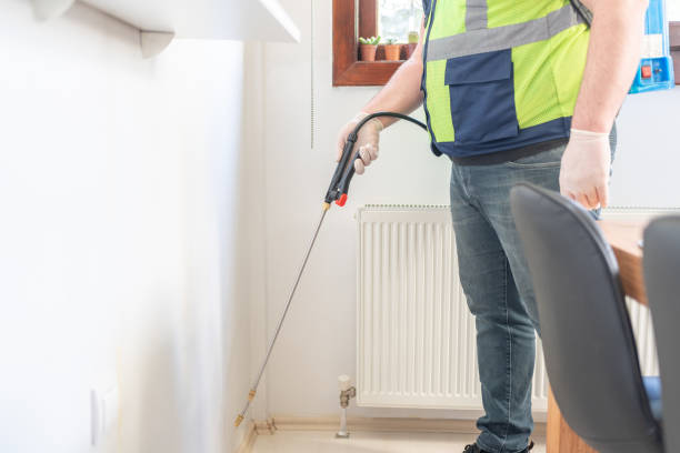 Flea Control Services in Boring, OR