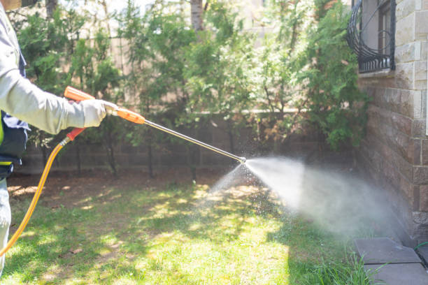 Best Affordable Pest Control Services  in Bing, OR