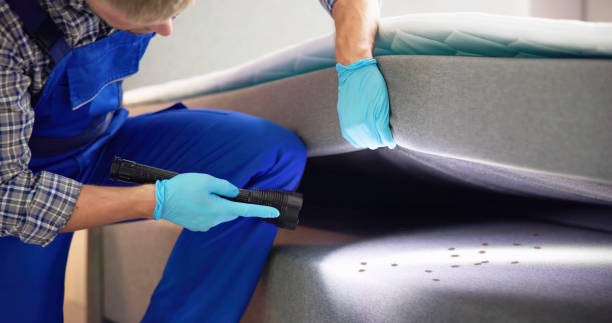 Best Mosquito Control Services  in Bing, OR