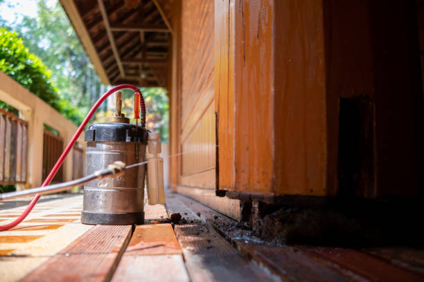 Best Residential Pest Control  in Bing, OR
