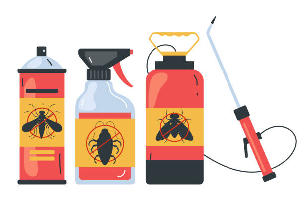 Best Termite Control Services  in Bing, OR