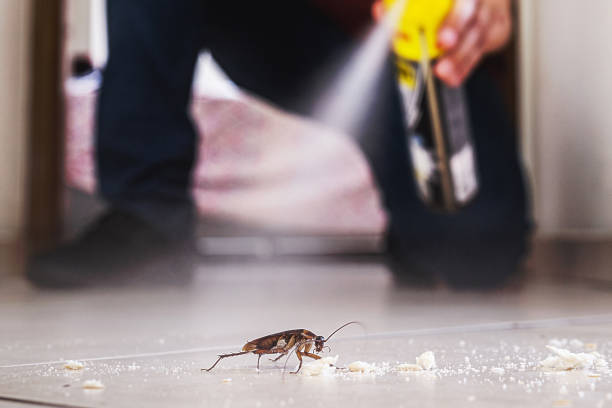 Best Emergency Pest Control  in Bing, OR
