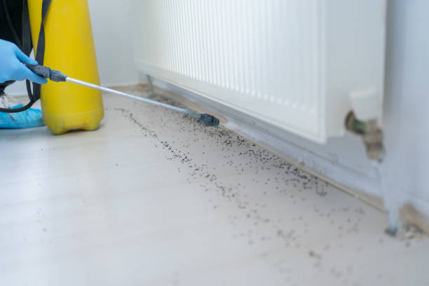 Best Pest Removal Services  in Bing, OR