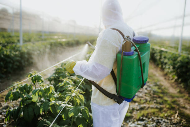 Best Ant Control Services  in Bing, OR